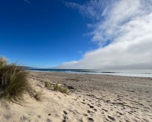 Limantour Beach