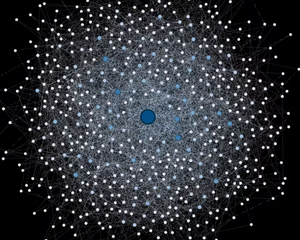 Randomly Growing Network