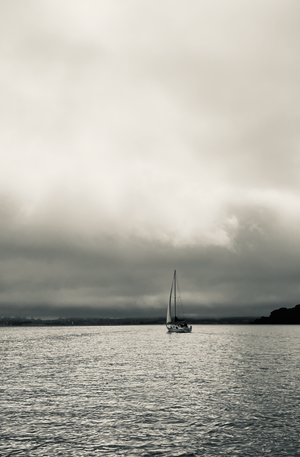 On The Bay - San Francisco